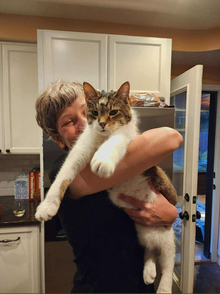 Enlarge Wilson, a Adoptable Domestic Short Hair in Cleveland, OH image 2/6