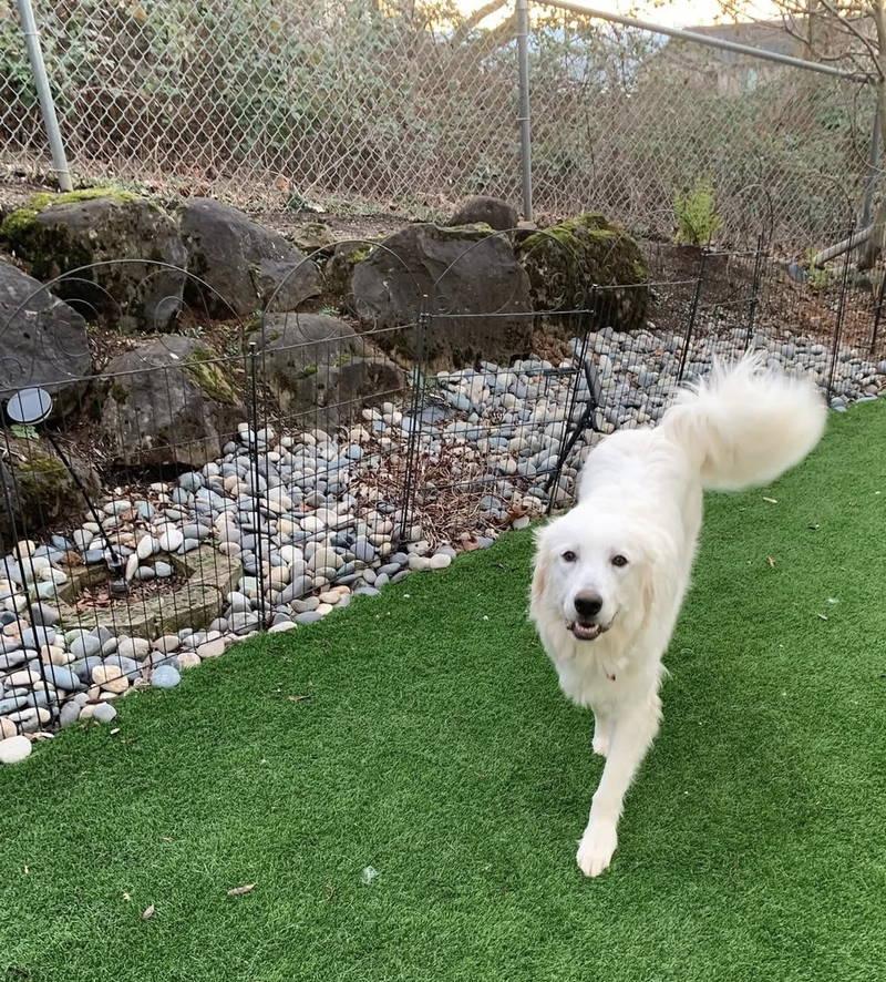 Irene — thumbnail 2