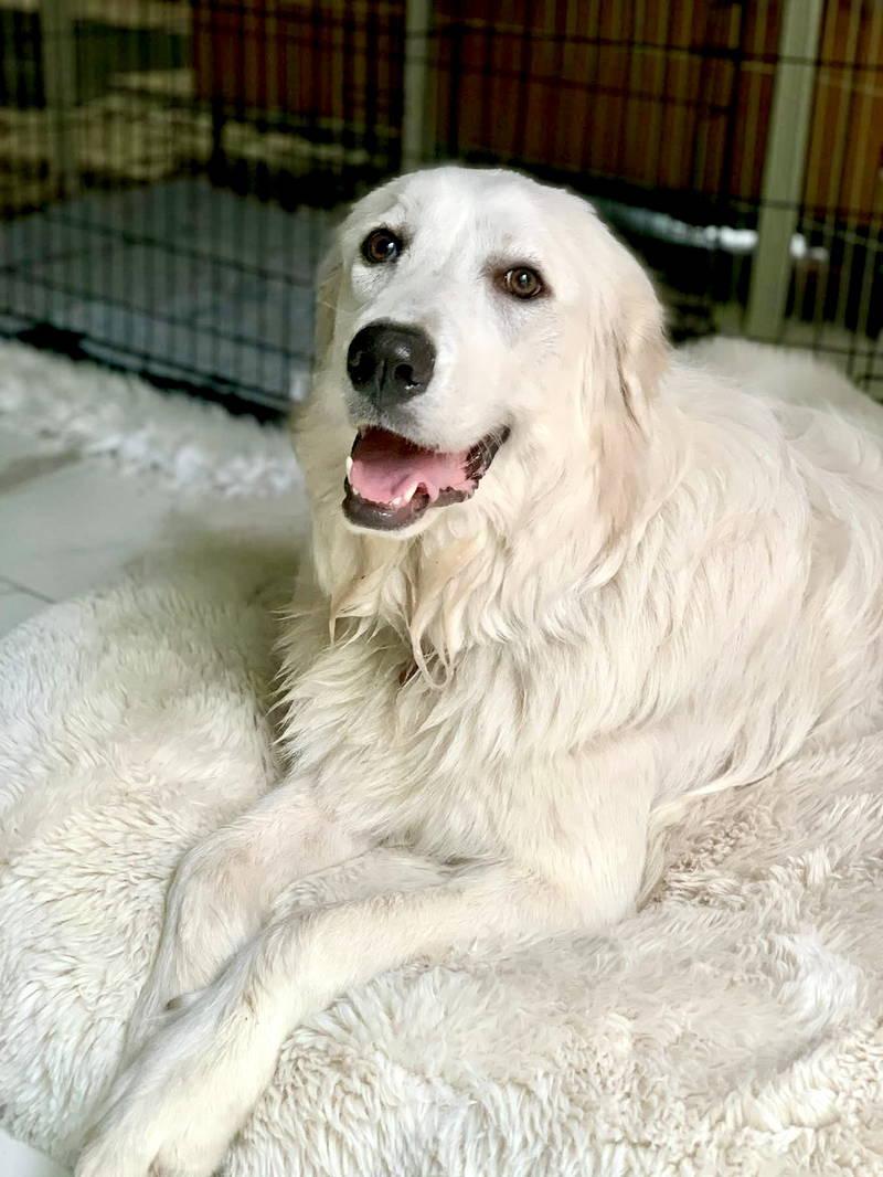 Irene — thumbnail 3