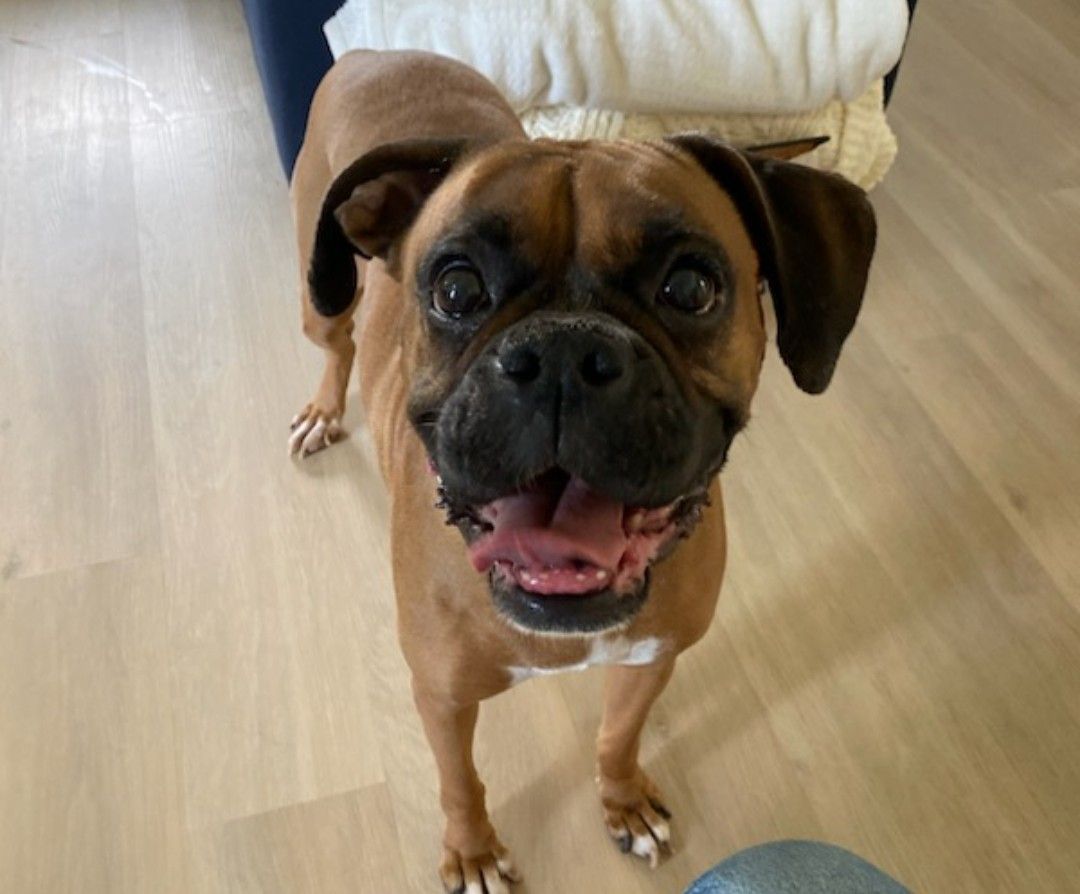 Nova, born Aug 19, 2017 7