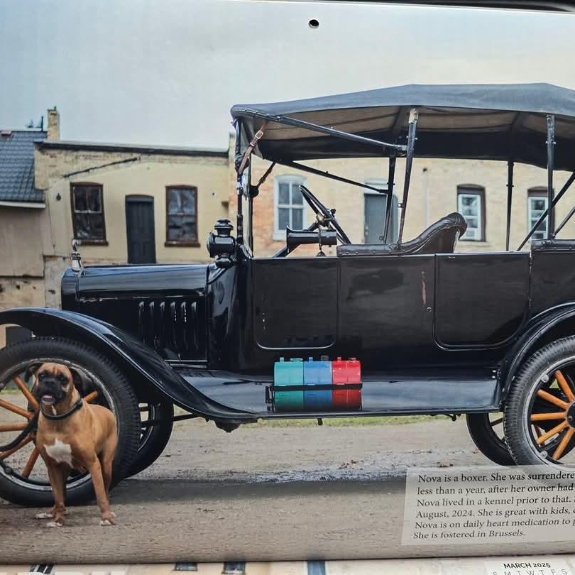 Nova, born Aug 19, 2017 1