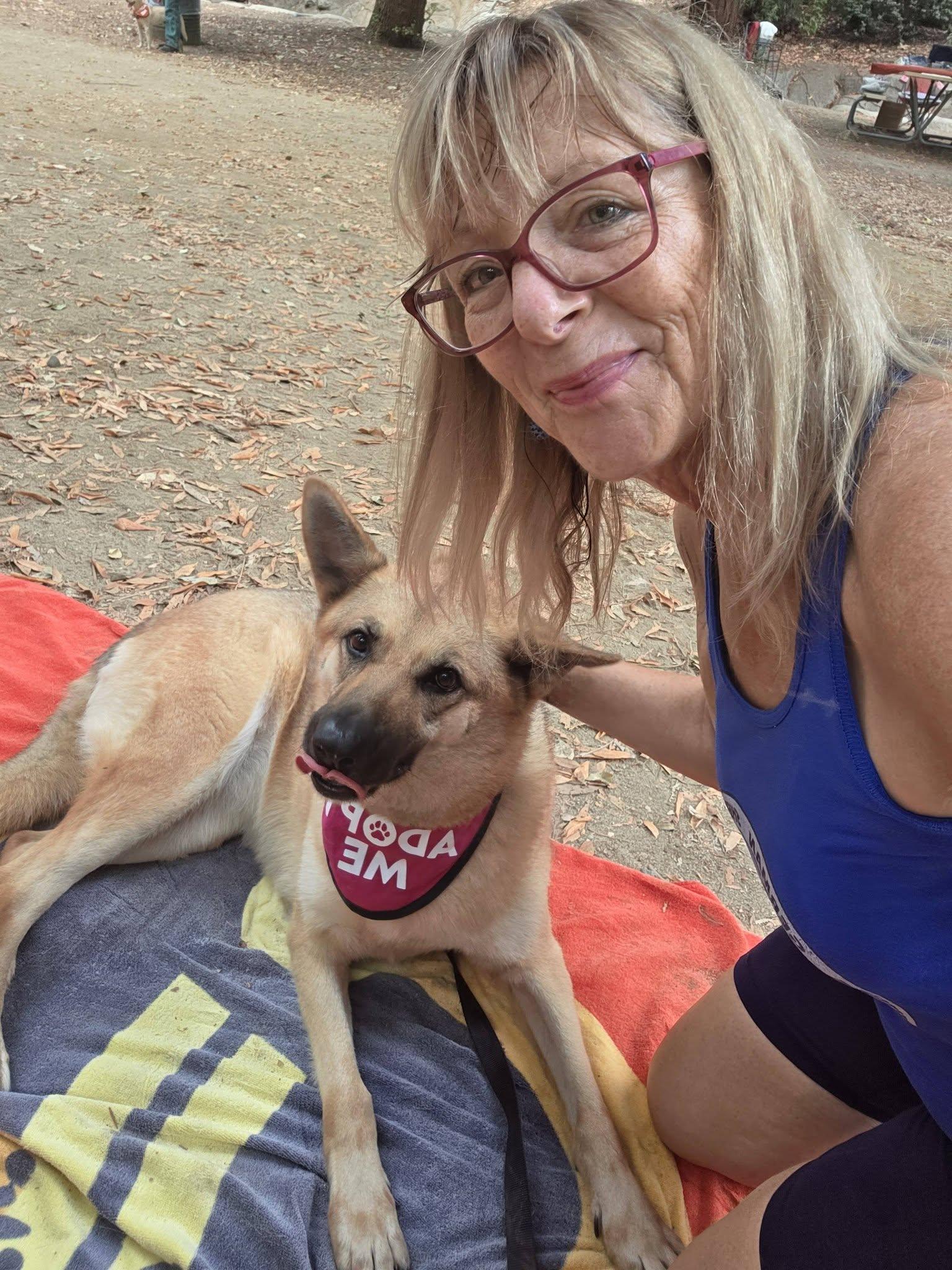 Enlarge Roxanne von Rohl", a Adoptable mixed breed in Los Angeles, CA image 2/6