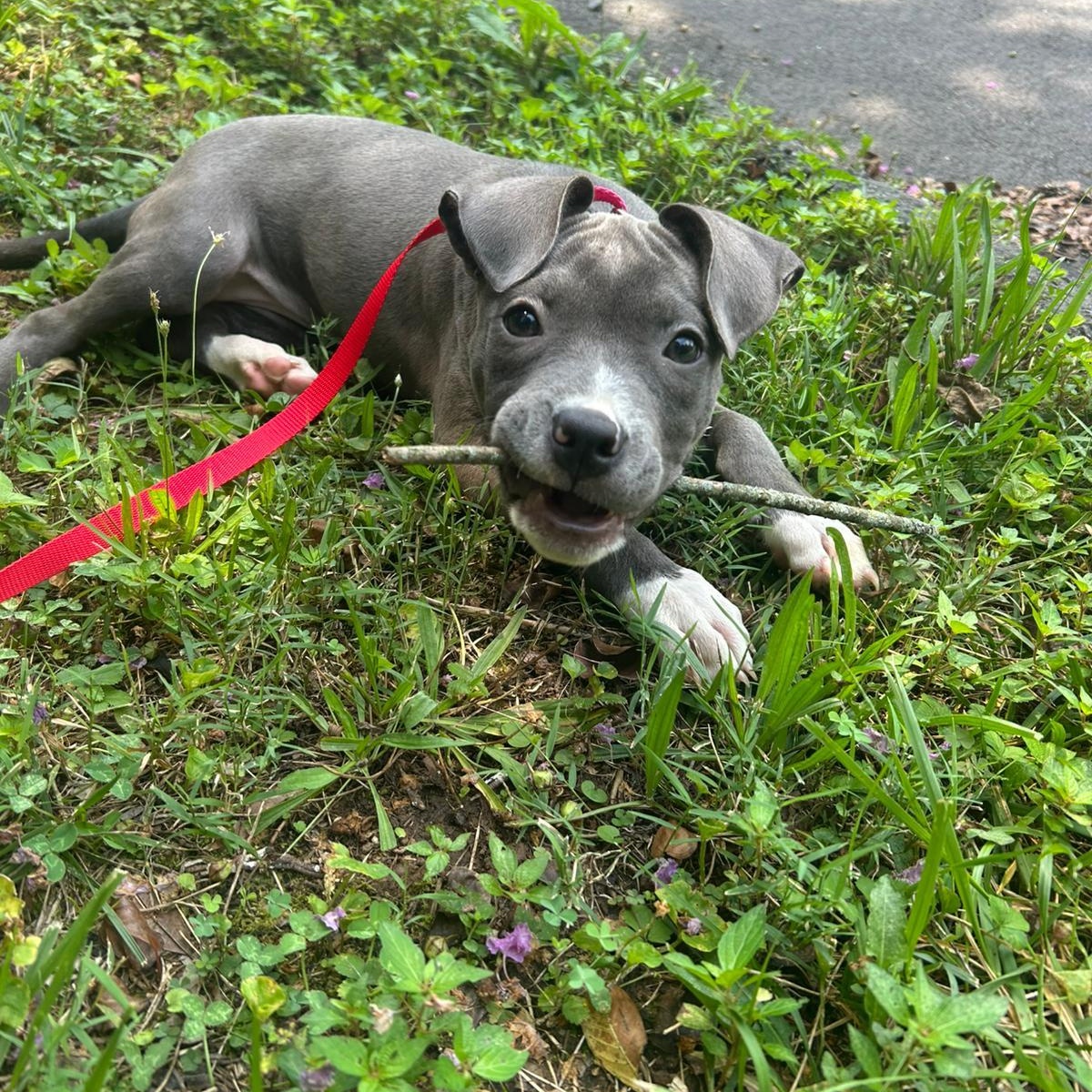 Skye
