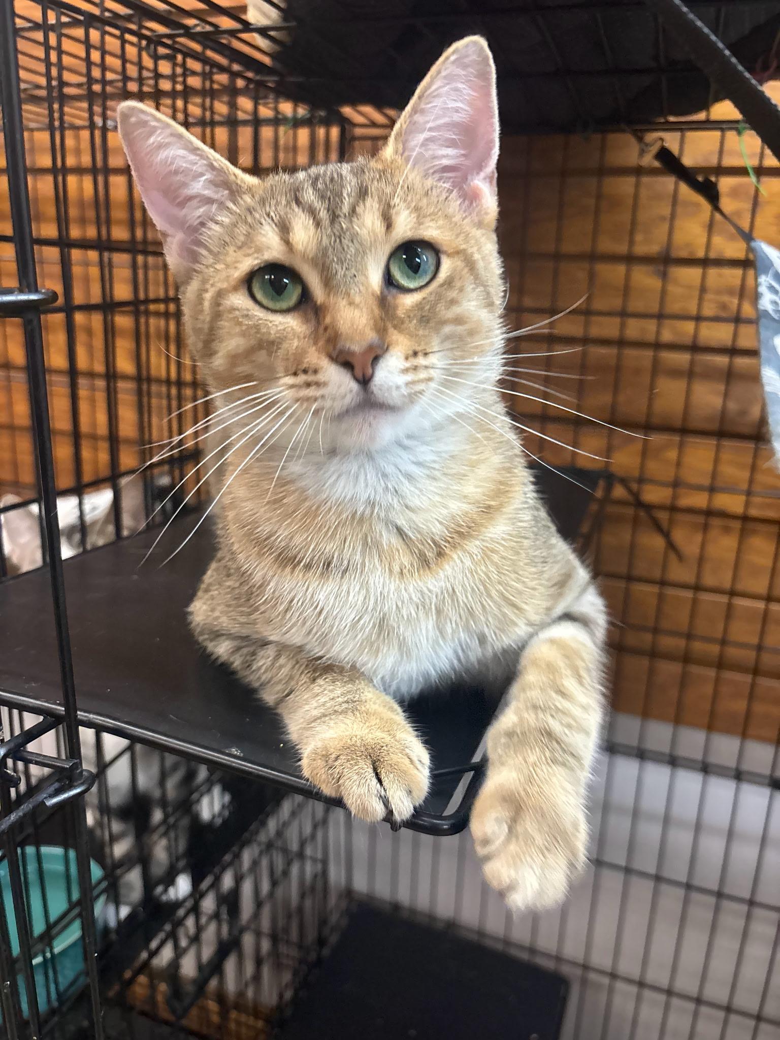 Cubby photo