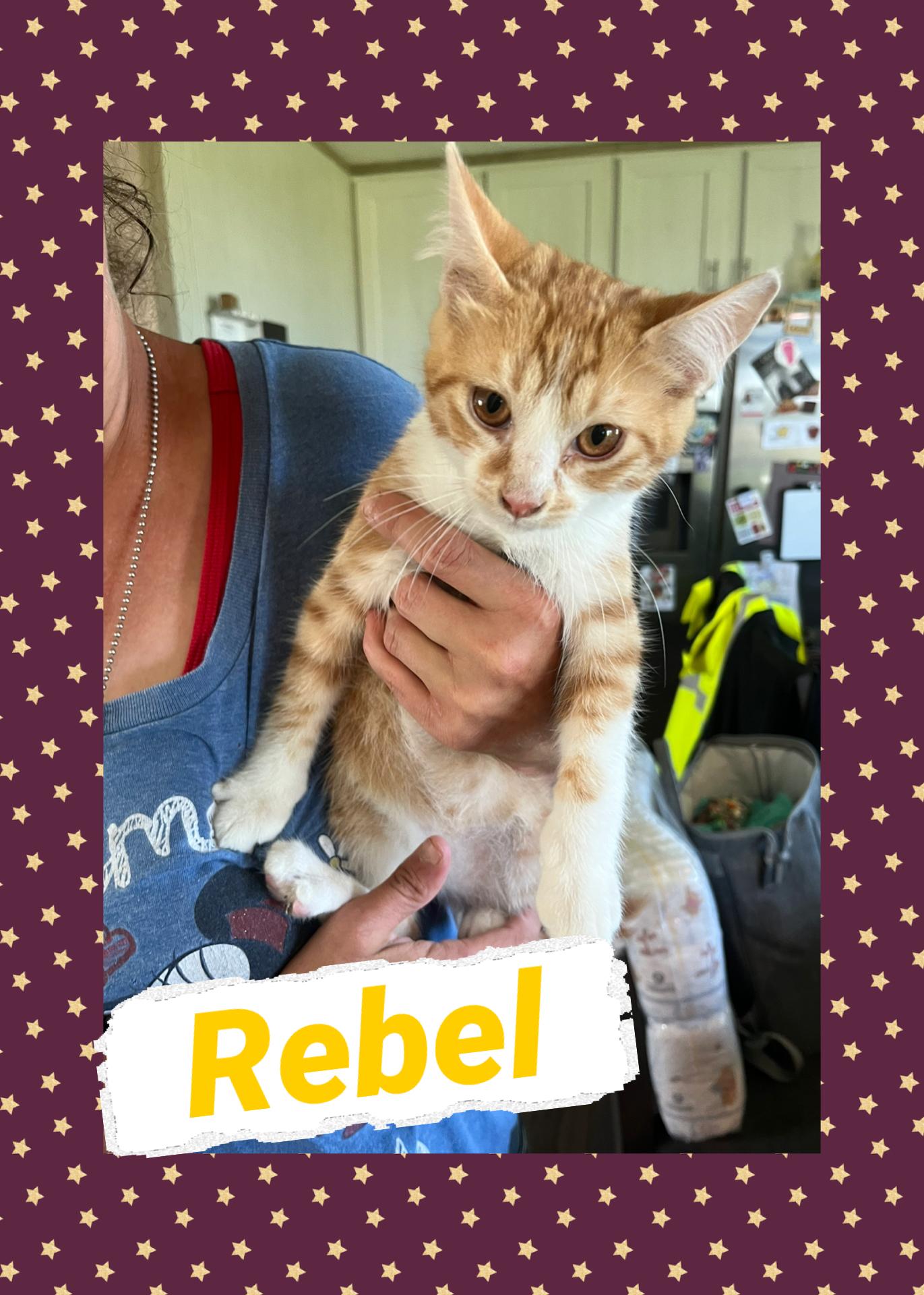 Rebel