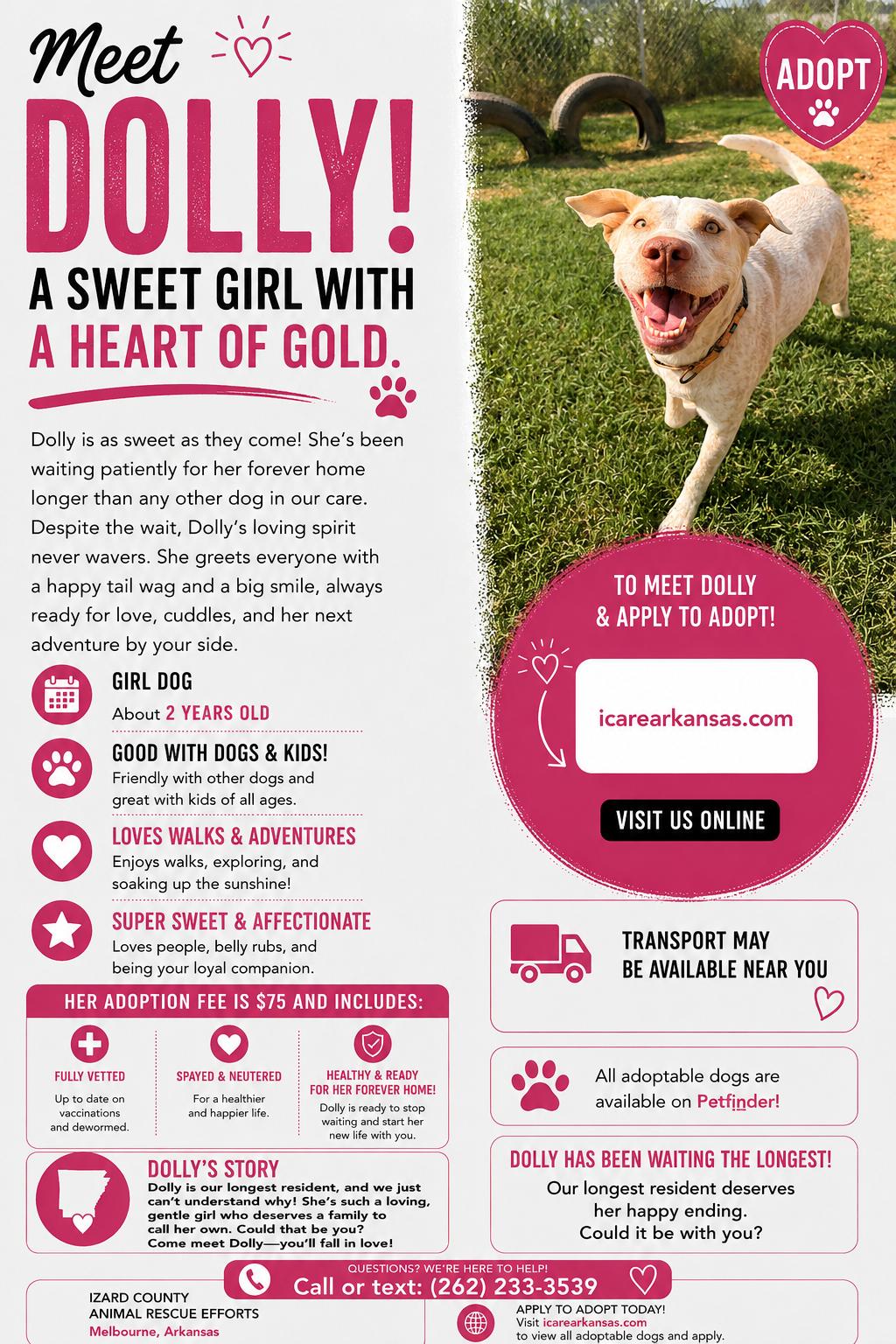 Enlarge Princess Dolly, a ADOPTABLE mixed breed in Melbourne, AR image 5/5