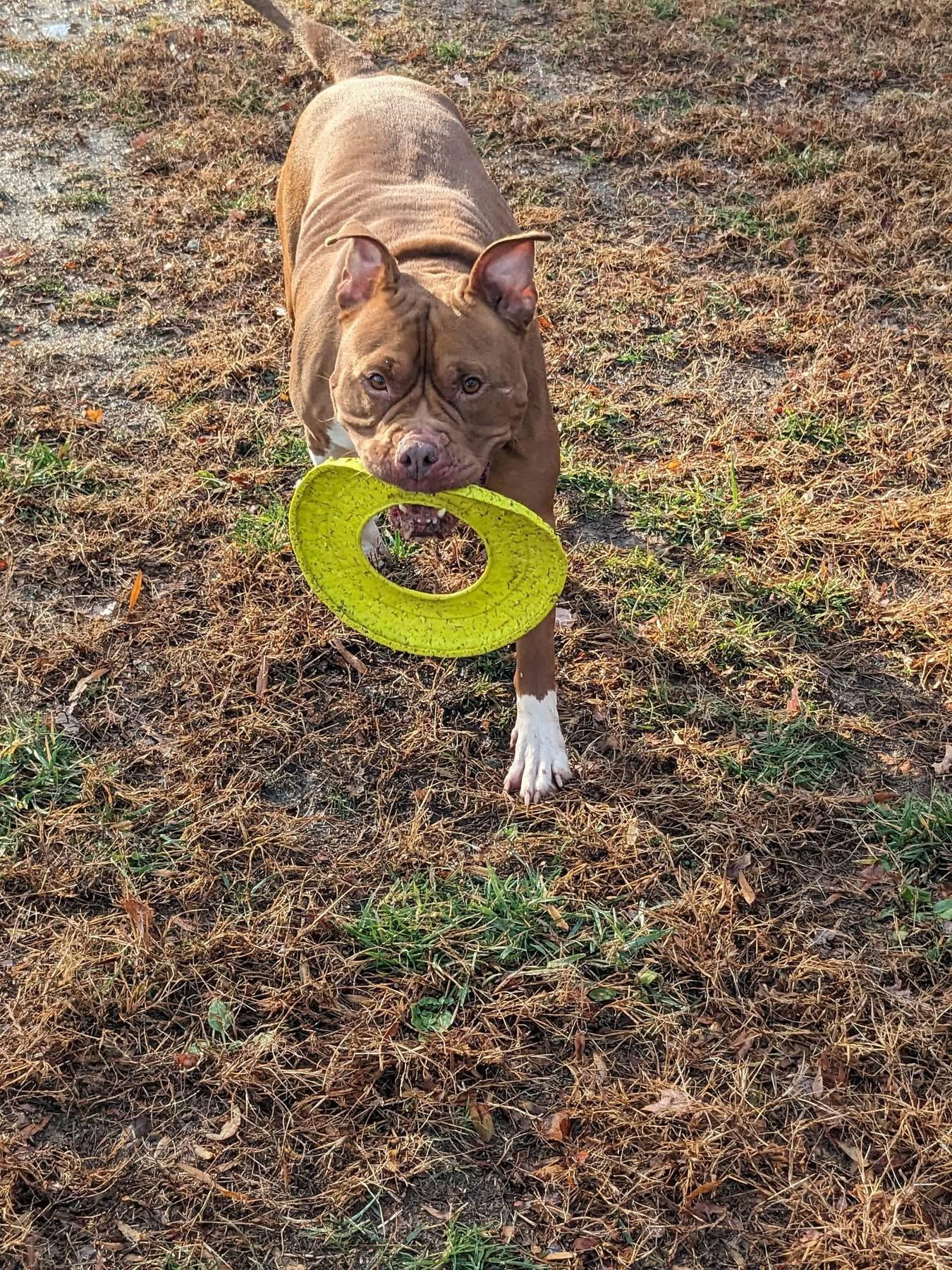 Lady (ID 49153/3815)