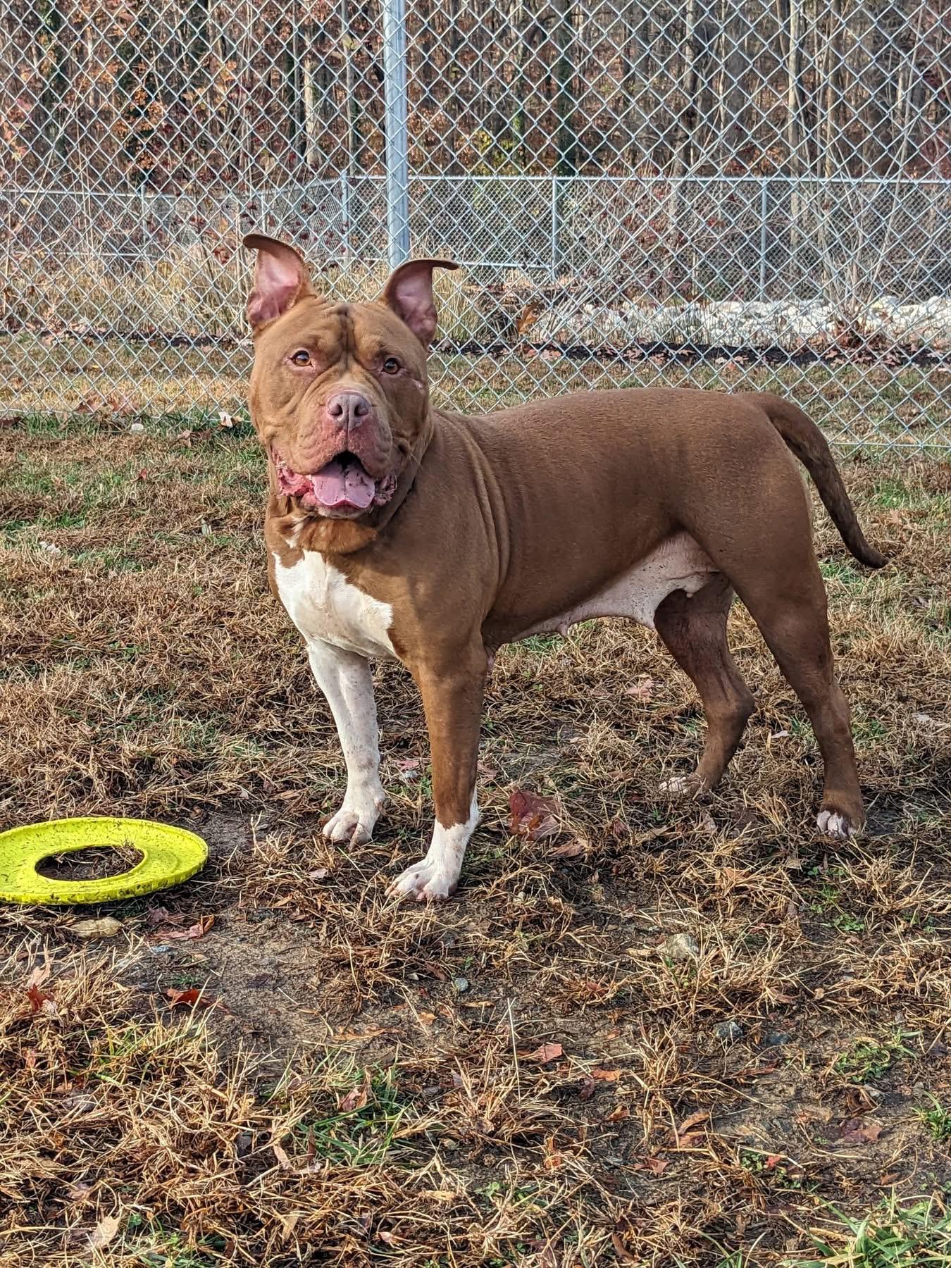 Lady (ID 49153/3815)