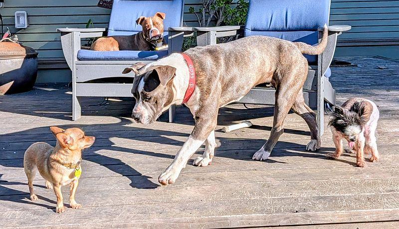 Cindy — thumbnail 2