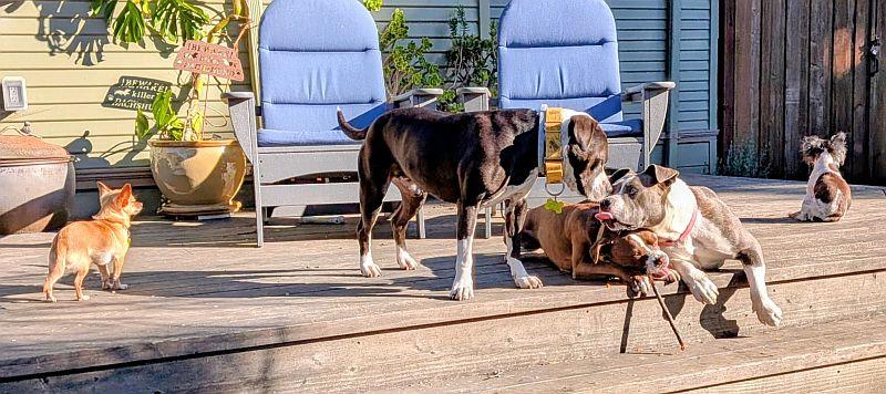 Cindy — thumbnail 3