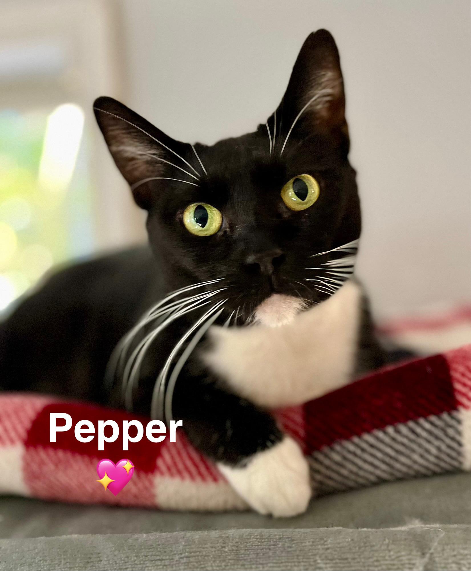 Pepper 1