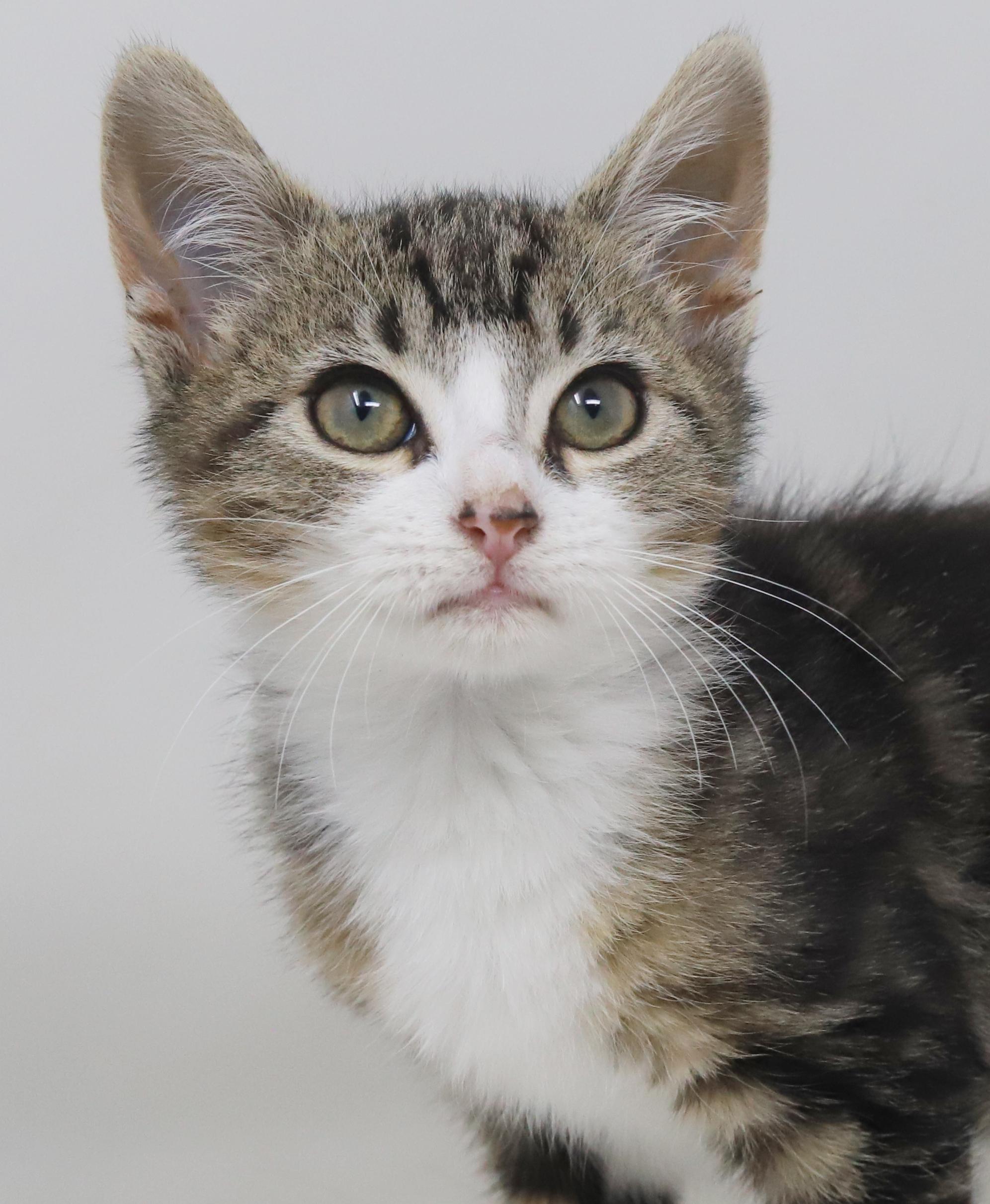 Jay Z Will Make thumbnail 5