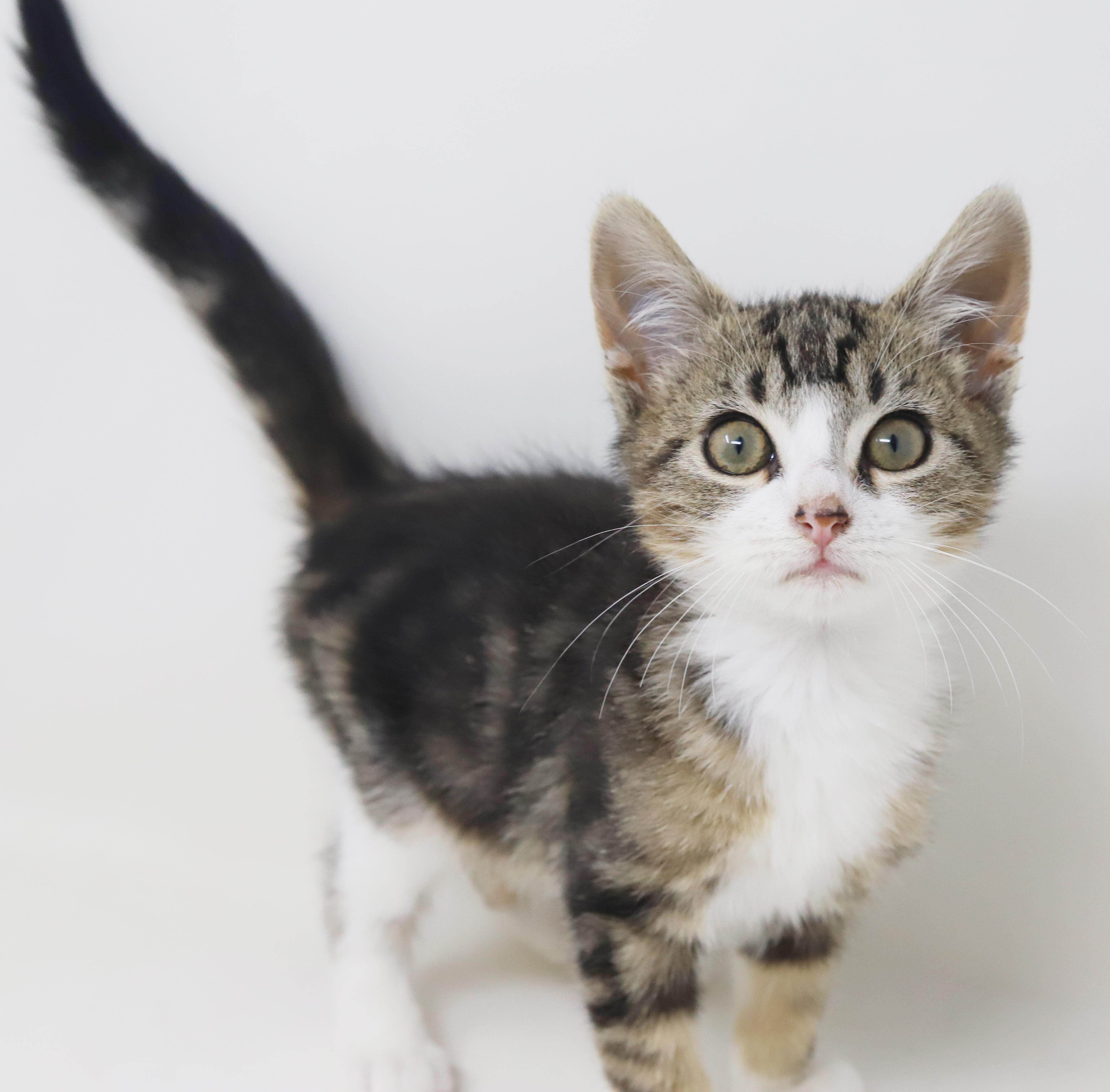 Jay Z Will Make thumbnail 6