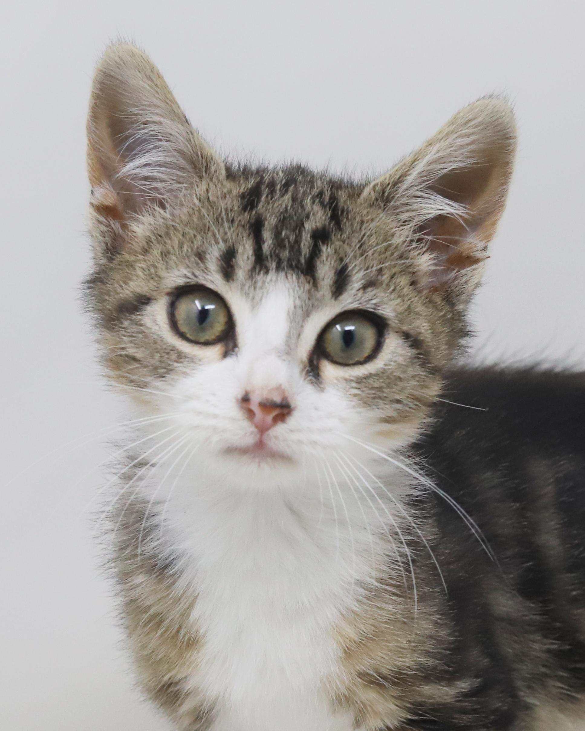 Jay Z Will Make thumbnail 3