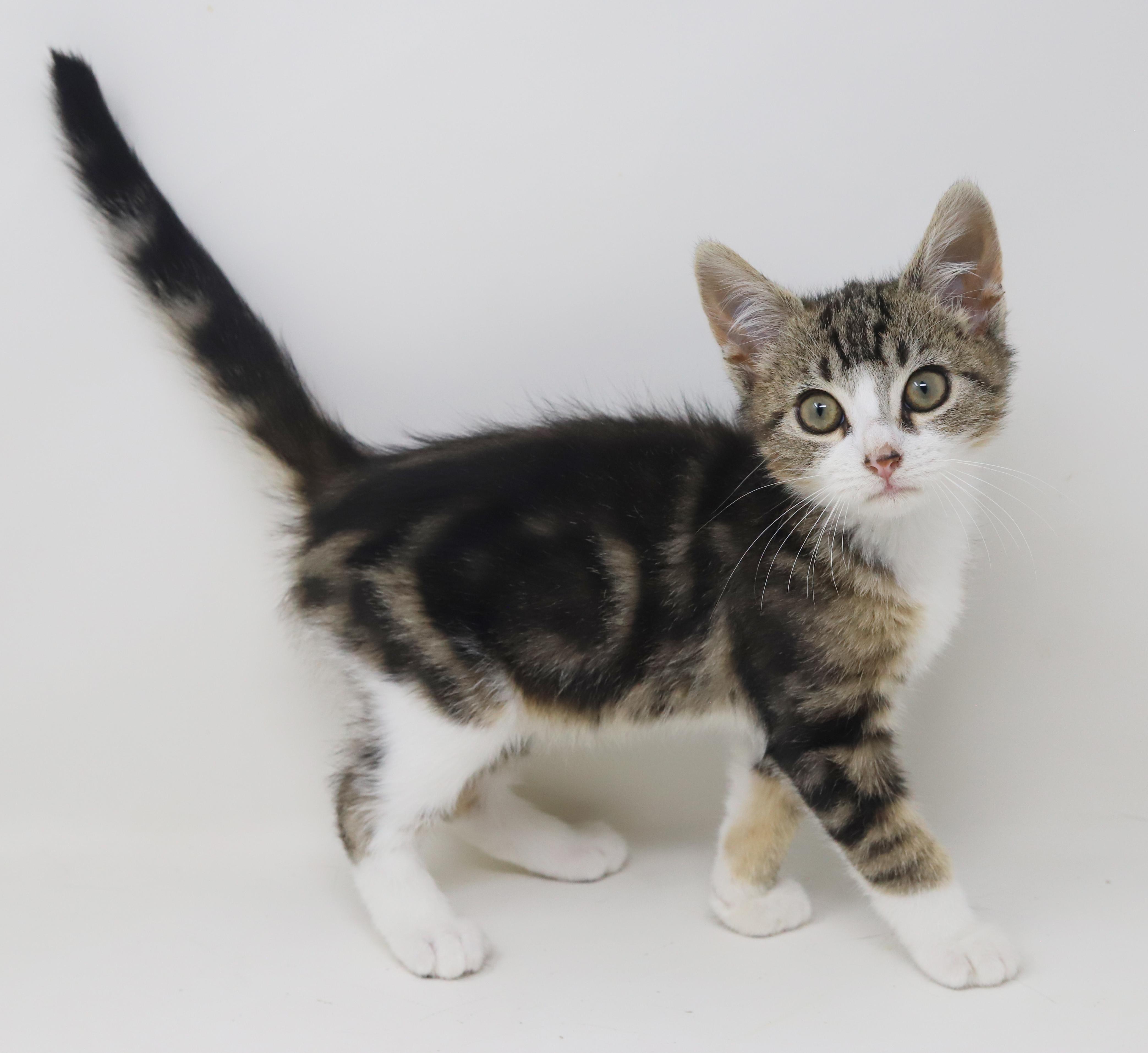 Jay Z Will Make thumbnail 2