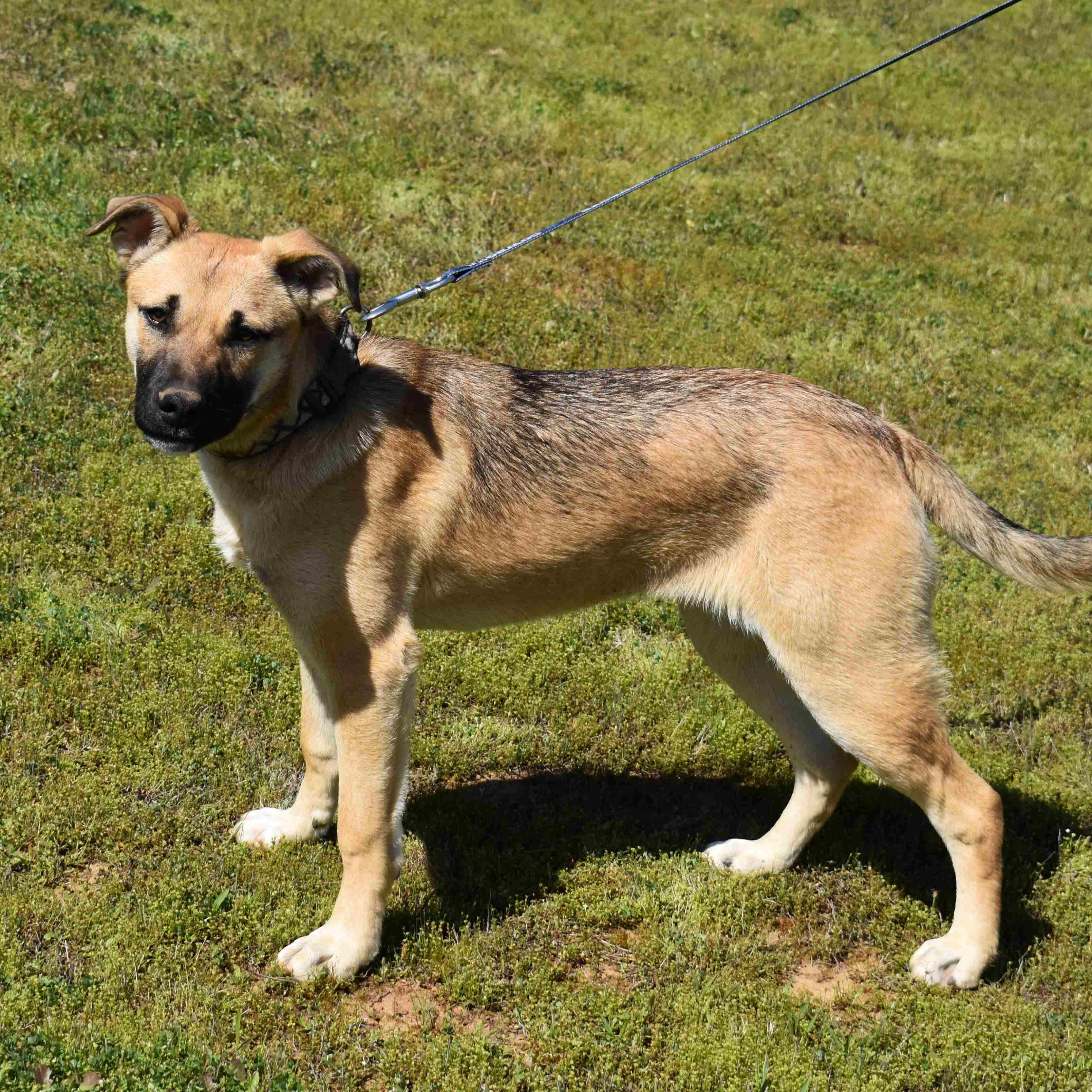 Tilly 6