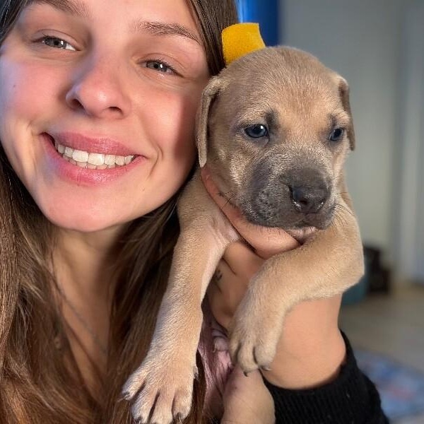 Cosmo Space — thumbnail 3