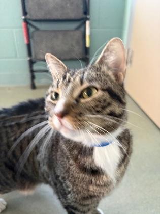 Shadow — thumbnail 2