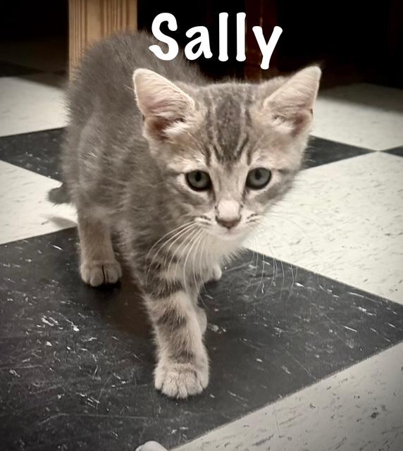 Sally