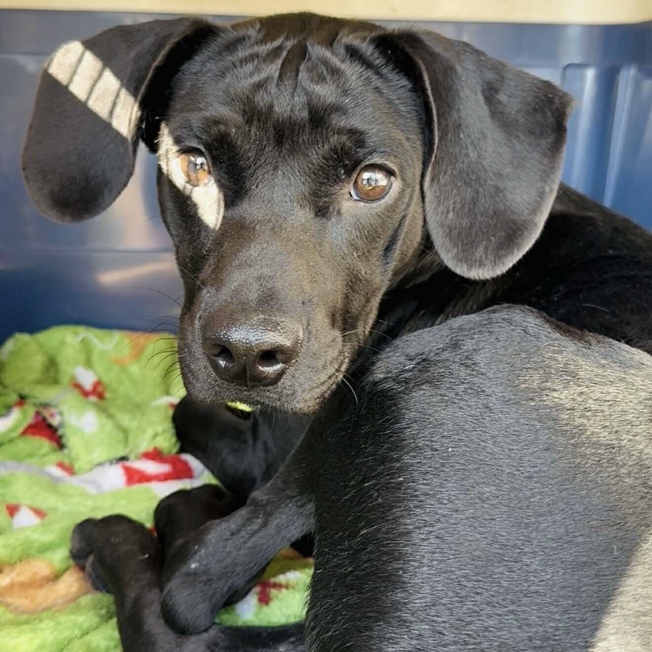 Sammy (20250925-01) — thumbnail 2