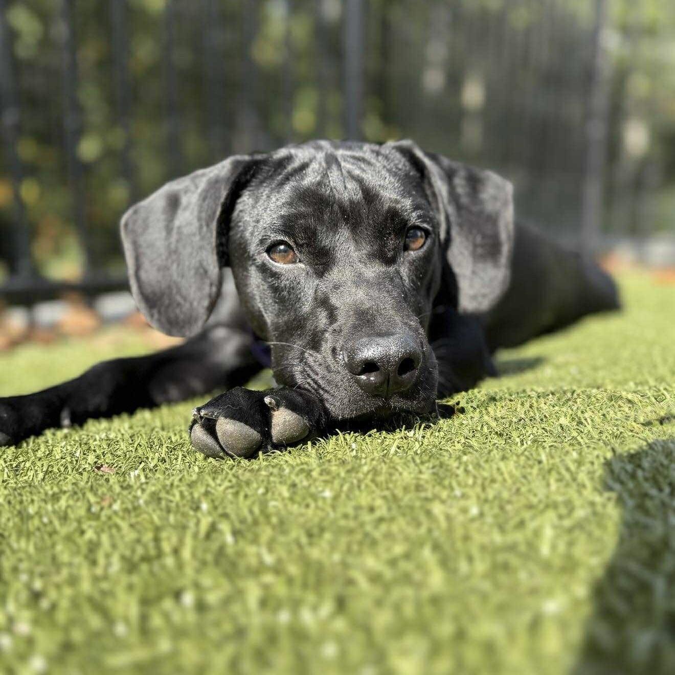 Sammy (20250925-01) — thumbnail 5