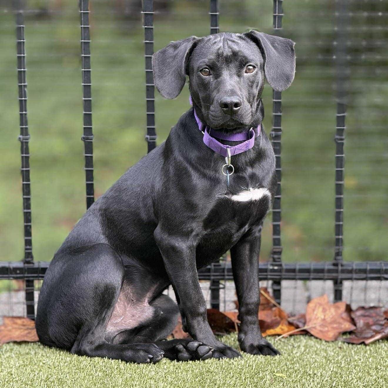 Sammy (20250925-01) — thumbnail 6