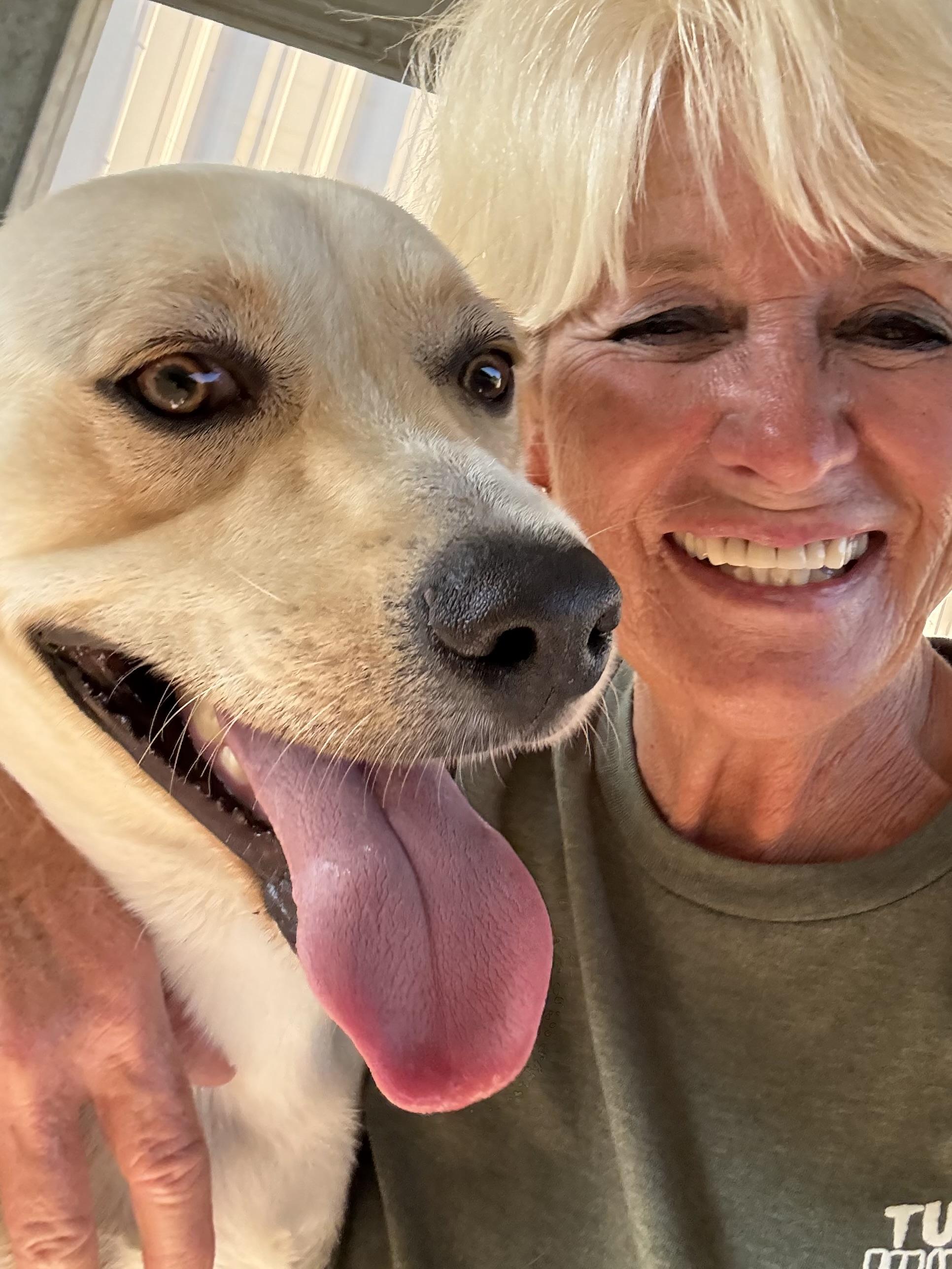 Enlarge Ace, a Adoptable mixed breed in Southaven , MS image 4/5