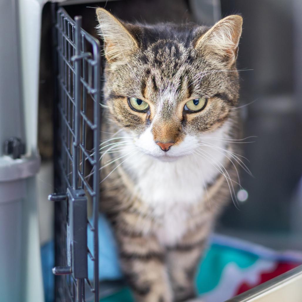 Bubbly — thumbnail 2