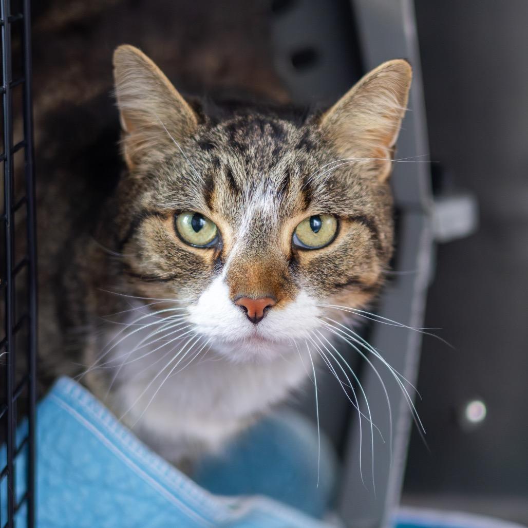 Bubbly — thumbnail 3