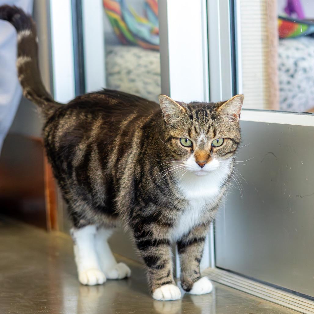 Bubbly — thumbnail 4