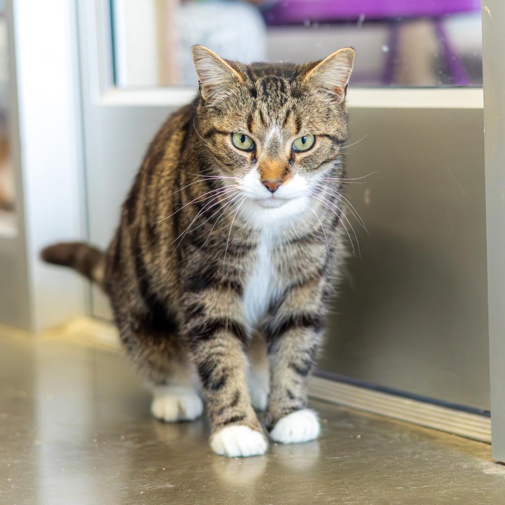 Bubbly — thumbnail 5