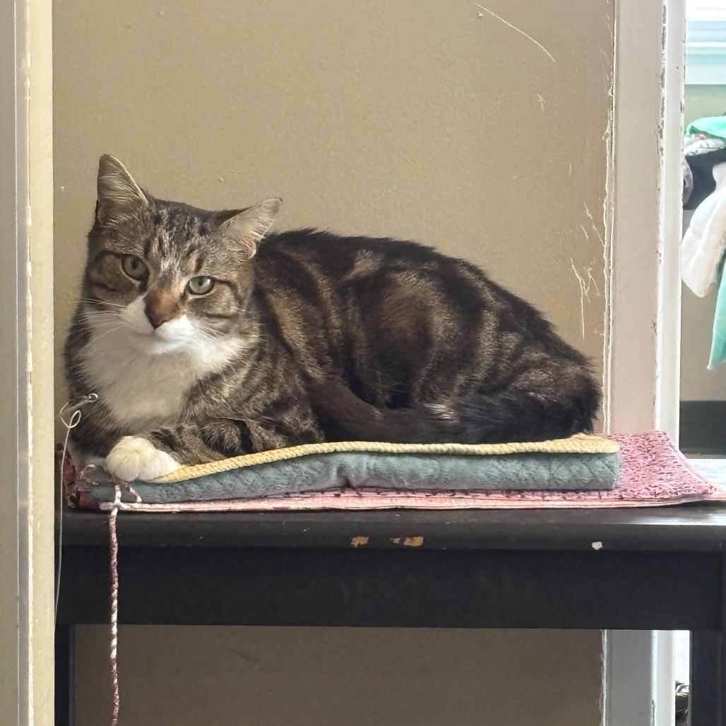 Bubbly — thumbnail 6