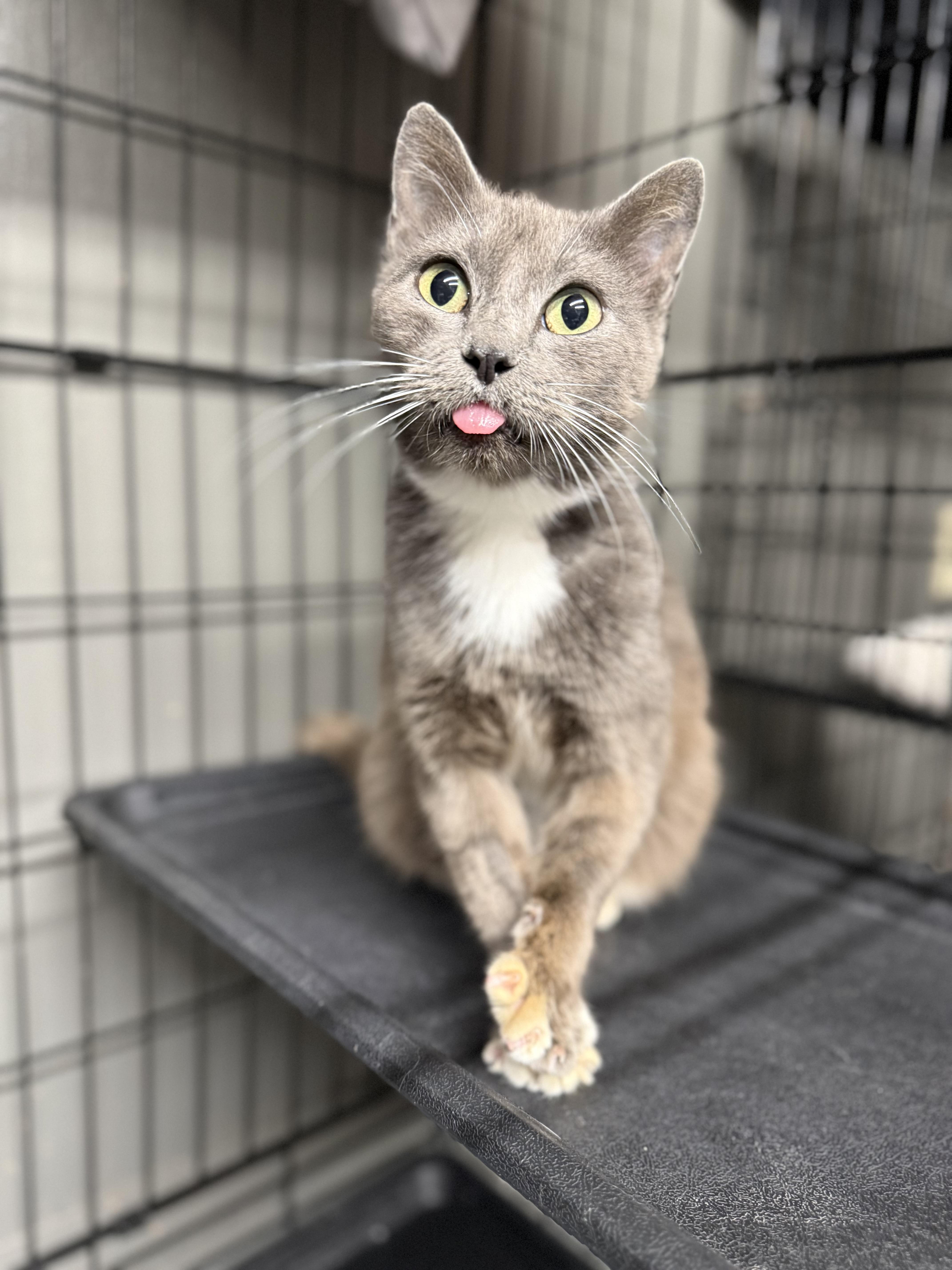 Molly — thumbnail 2