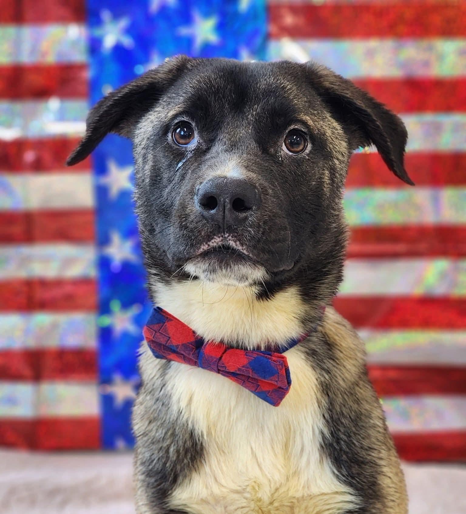 Naomi - In Foster