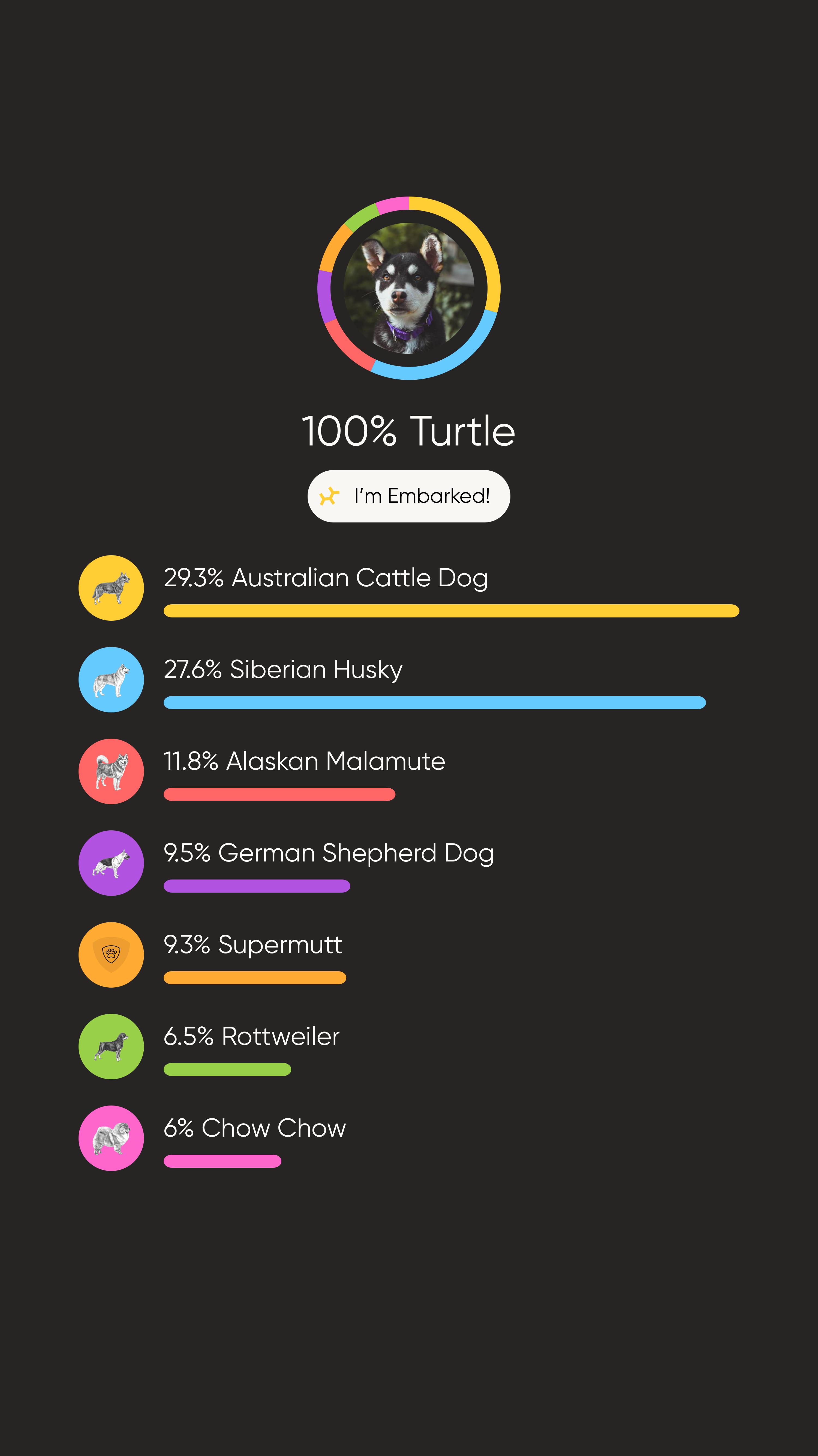 Enlarge Luna, a Adoptable mixed breed in Portland, OR image 6/6