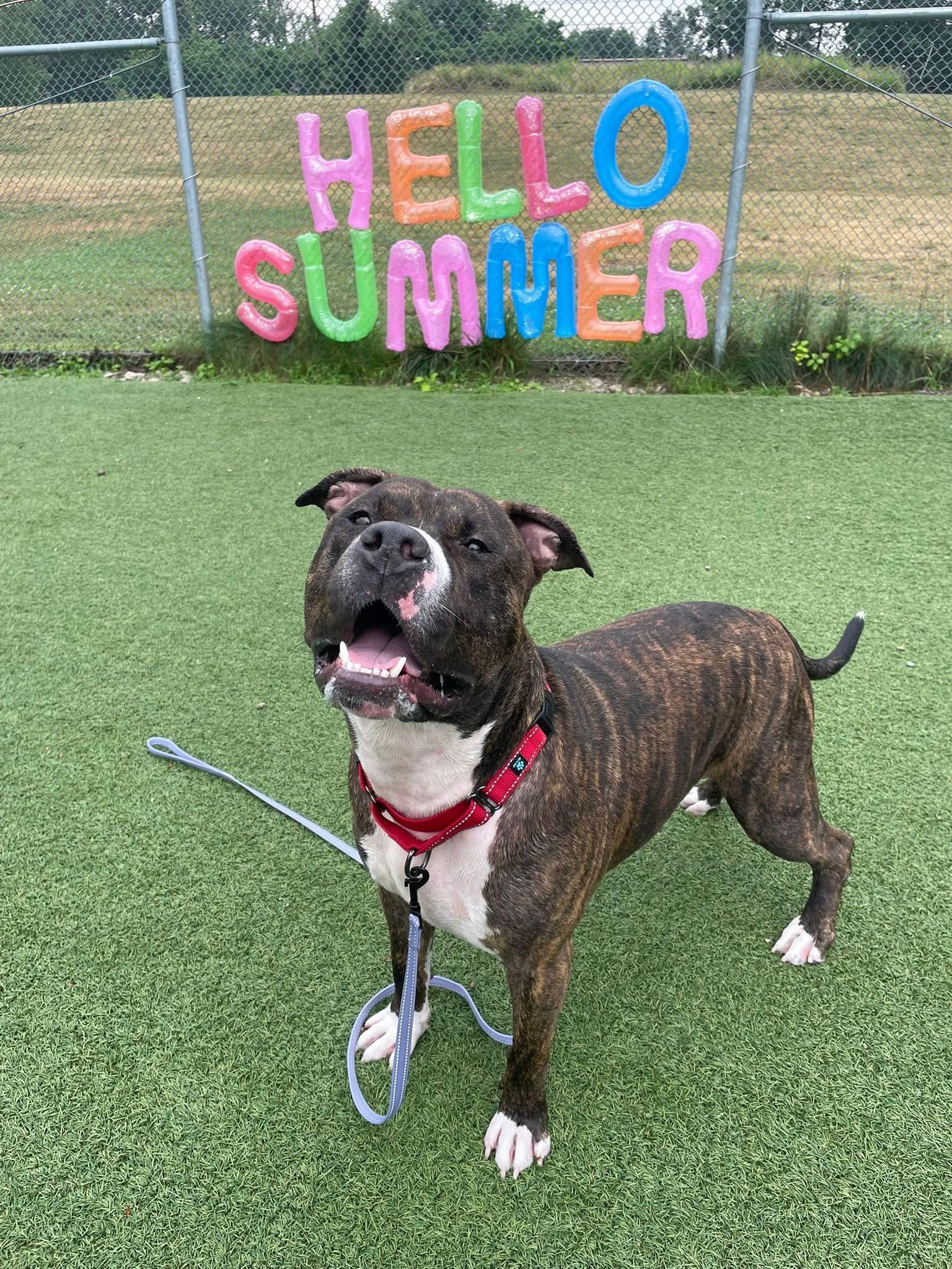 Dallas