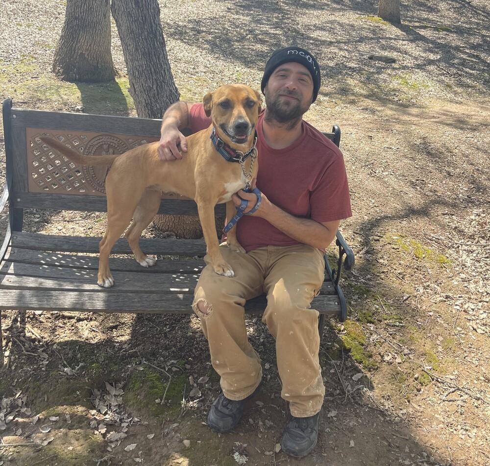 Enlarge Baby Girl, a Adoptable mixed breed in Jamestown, CA image 2/4