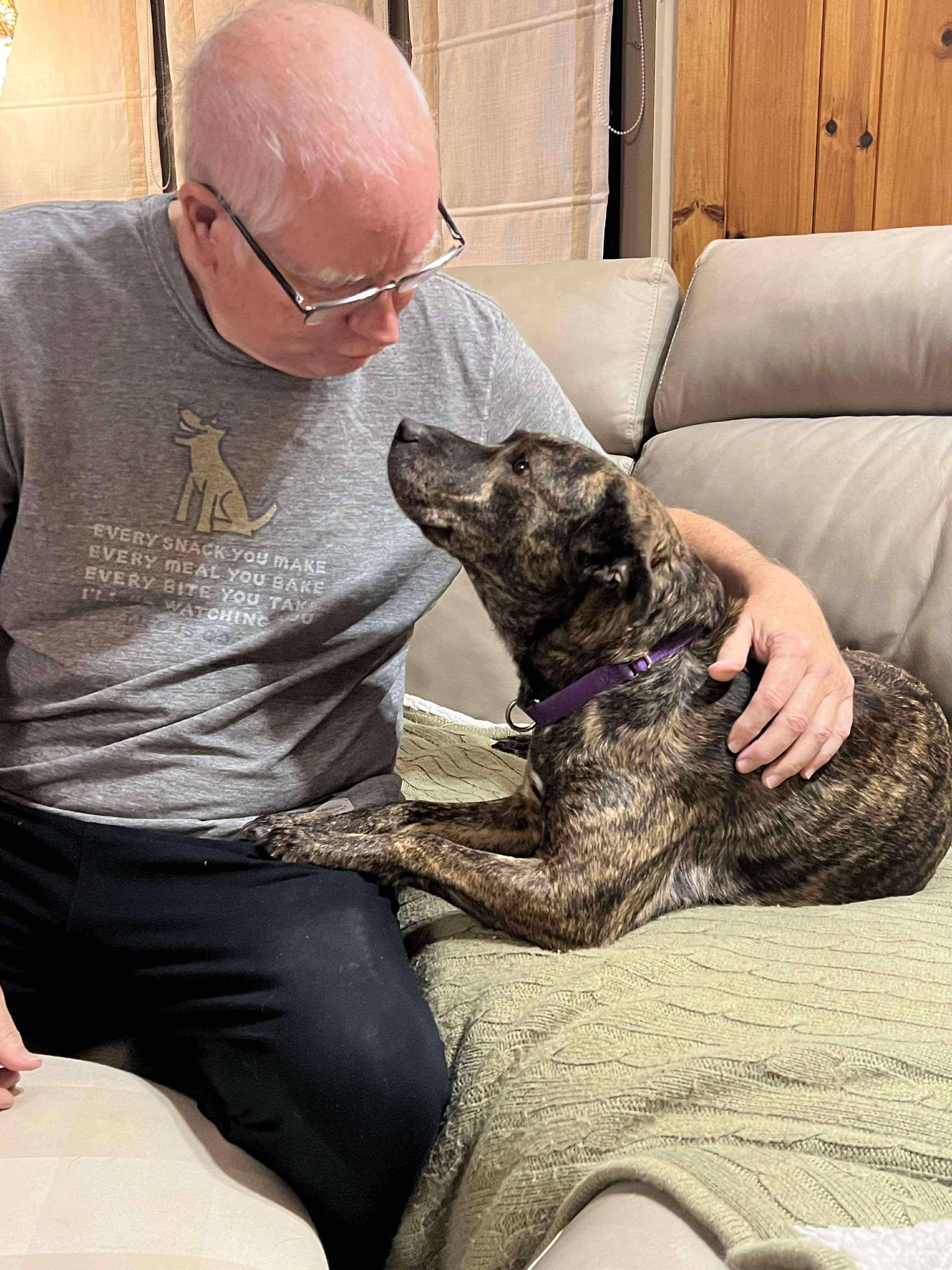 Pinkie Pie, a Adoptable mixed breed in Marshall, NC image 4/6