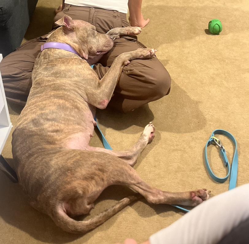 Corina — thumbnail 5