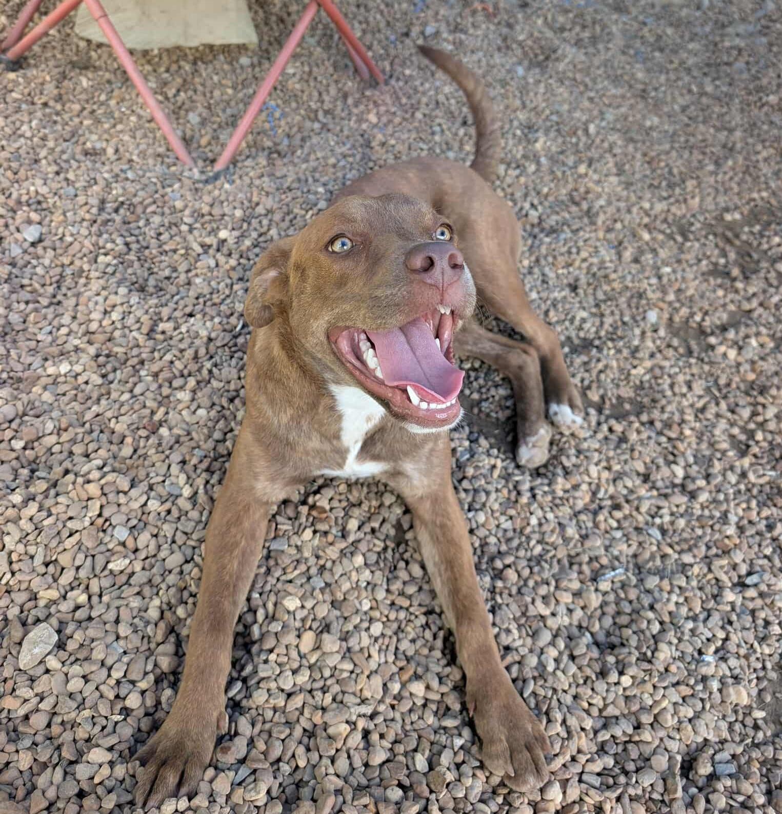 Kaiya