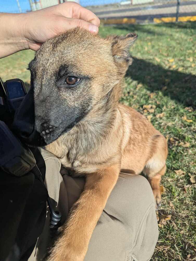 Callie  Located In thumbnail 6