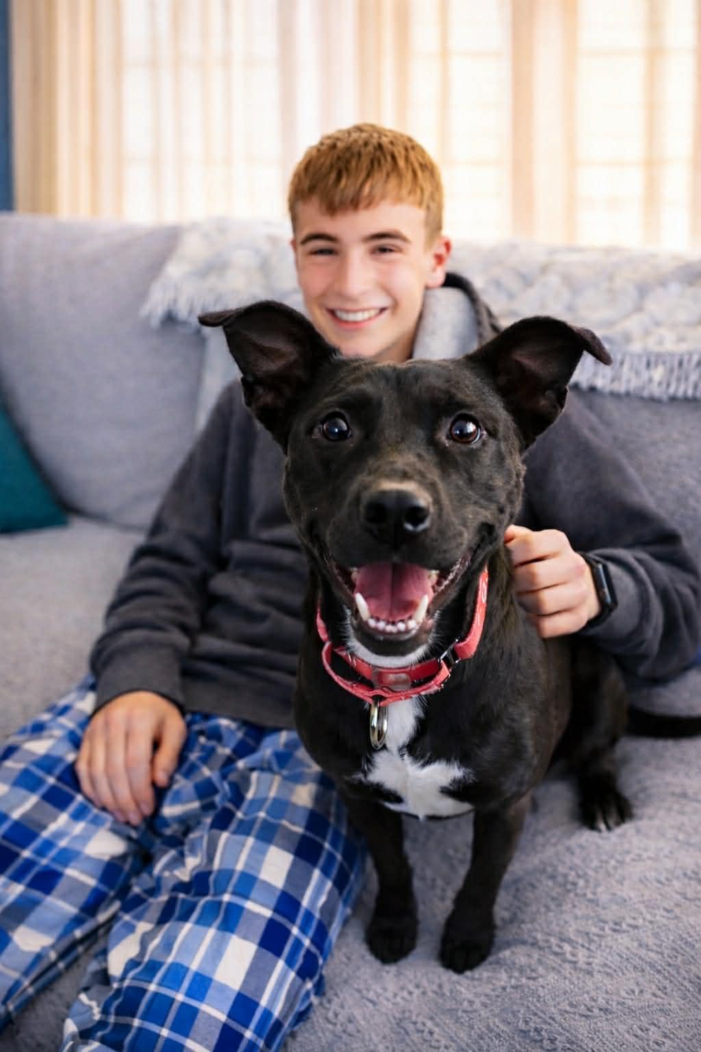 Enlarge Josie, a Adoptable mixed breed in Moab, UT image 6/6