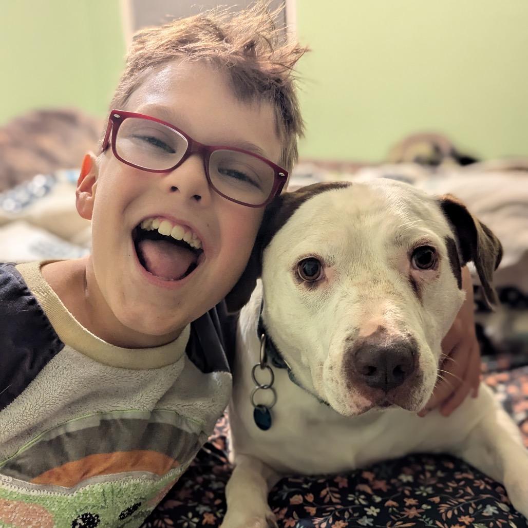 Enlarge Rocco: Foster 2 Adopt!, a Adoptable mixed breed in Washington, DC image 1/6