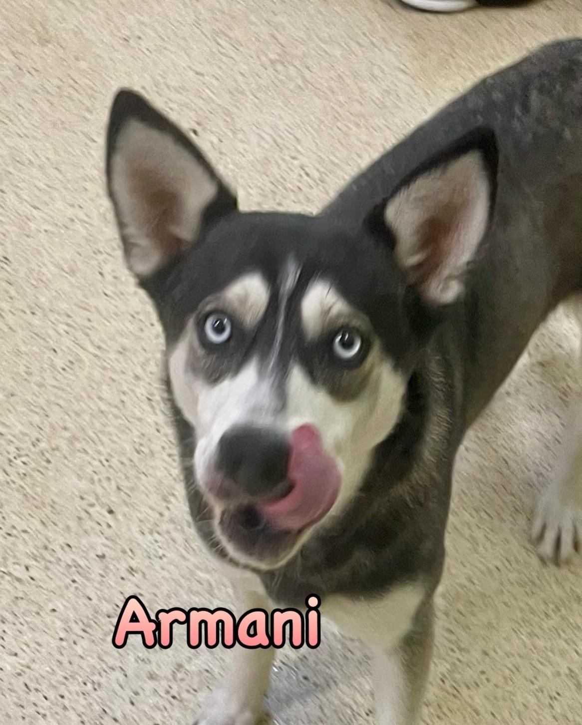 Armani