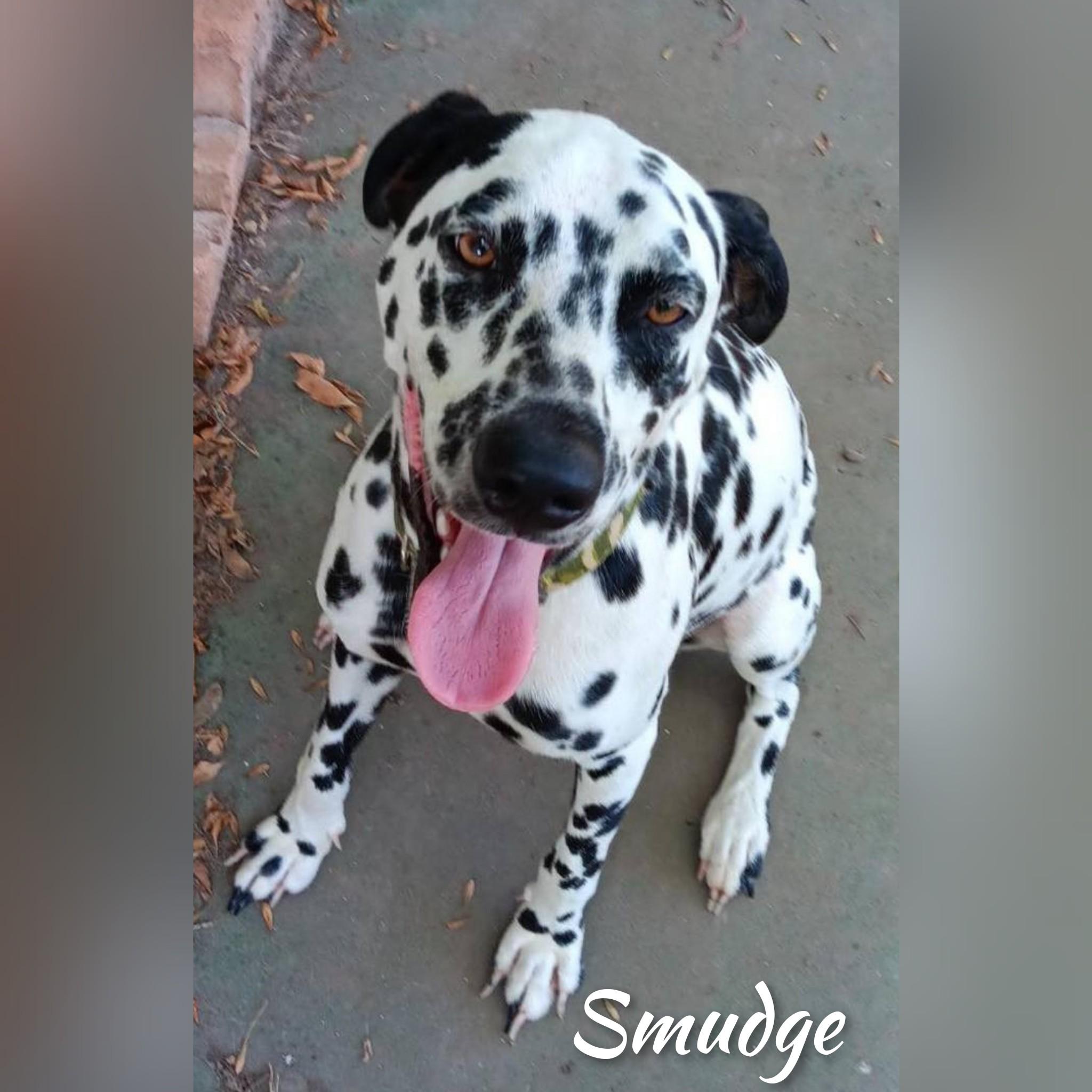 Smudge photo 3