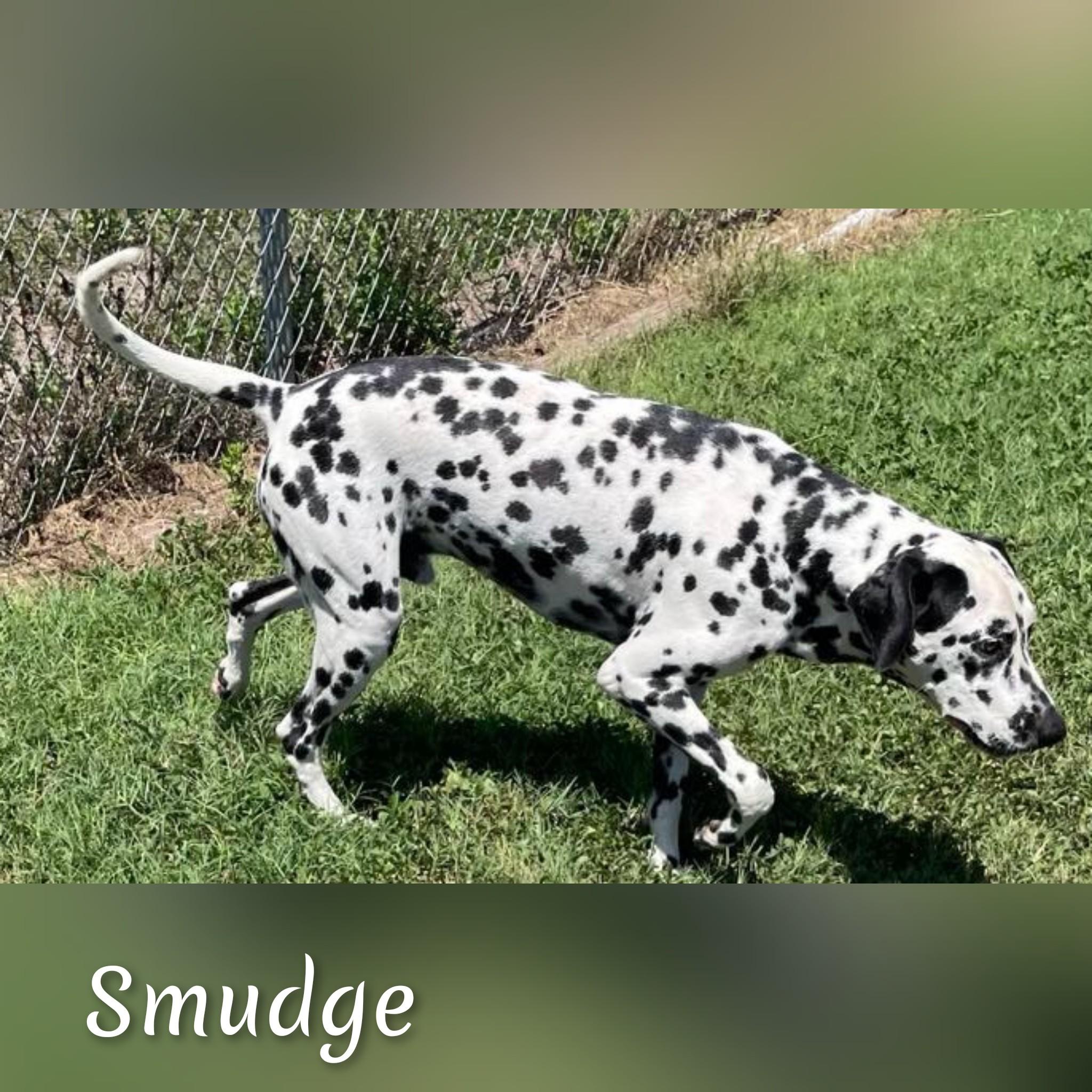 Smudge photo 2