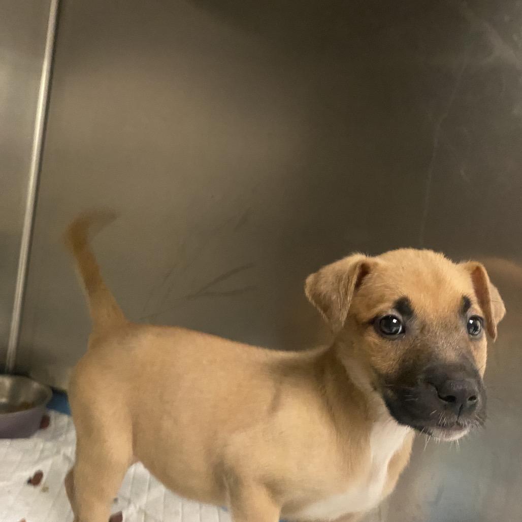 Ellie — thumbnail 3