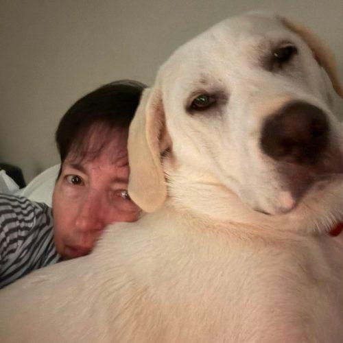 Pokey AKA Polly, Adoptable, Puppy Female Hound & Great Pyrenees.