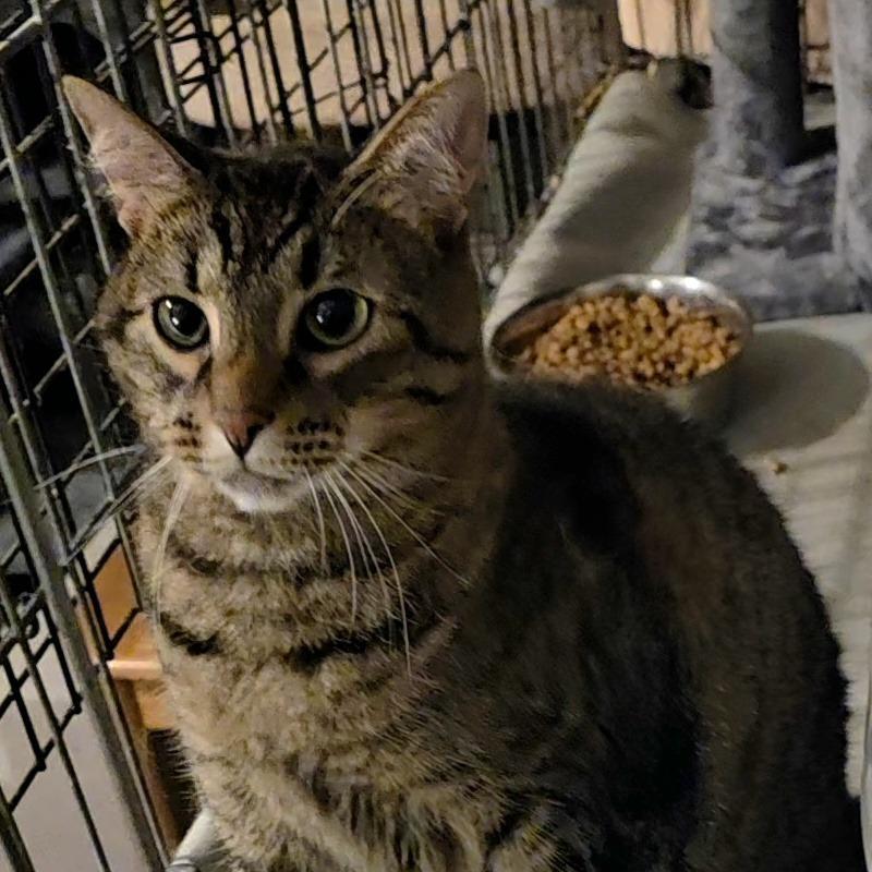 0121-18 Nyla — thumbnail 6