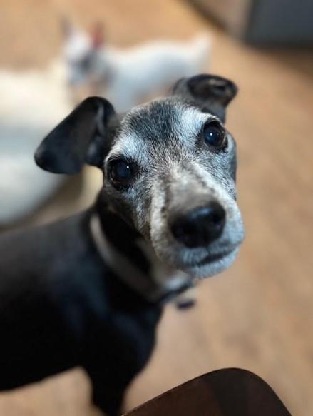 Eddie photo 5